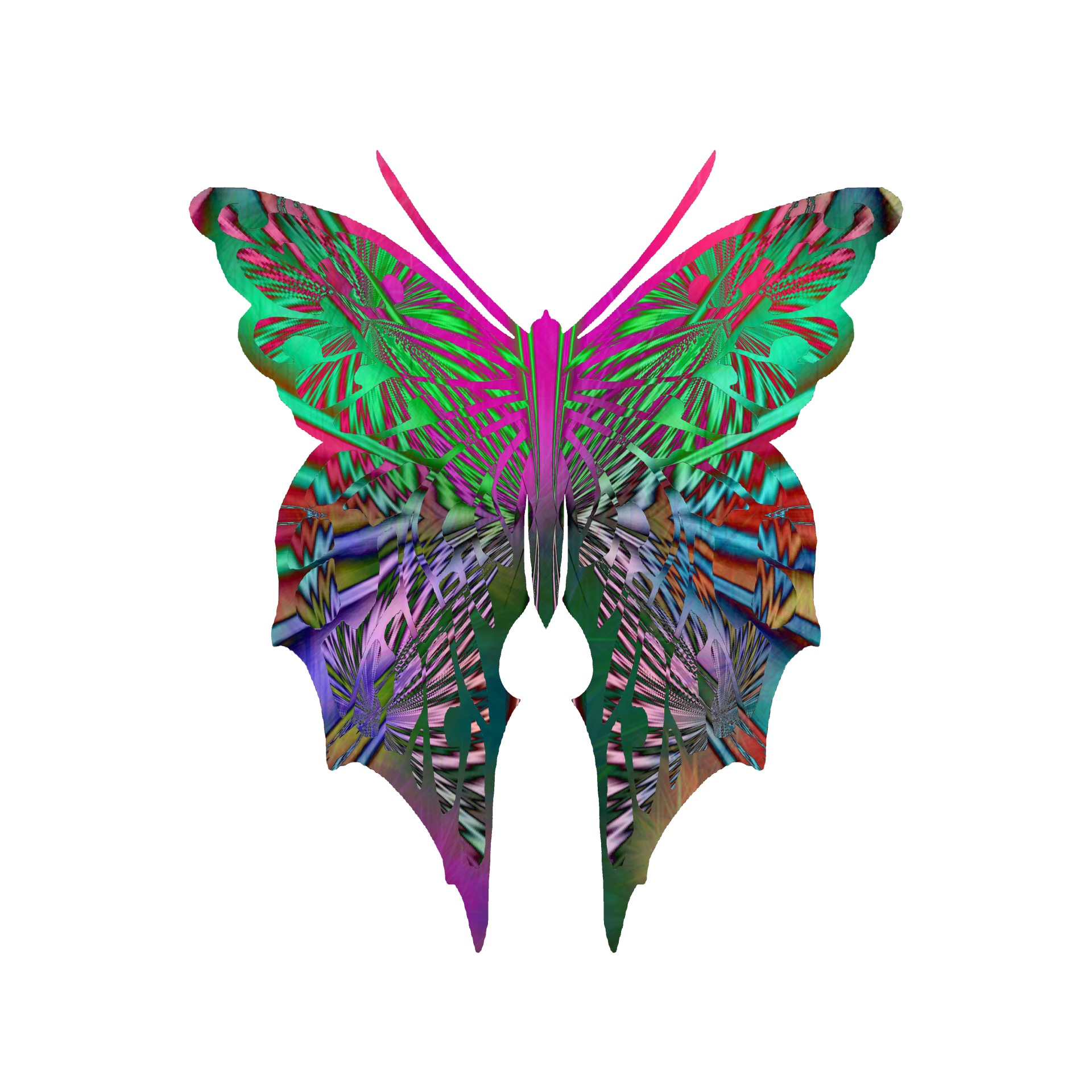 butterfly butterflies iridescent wings free photo