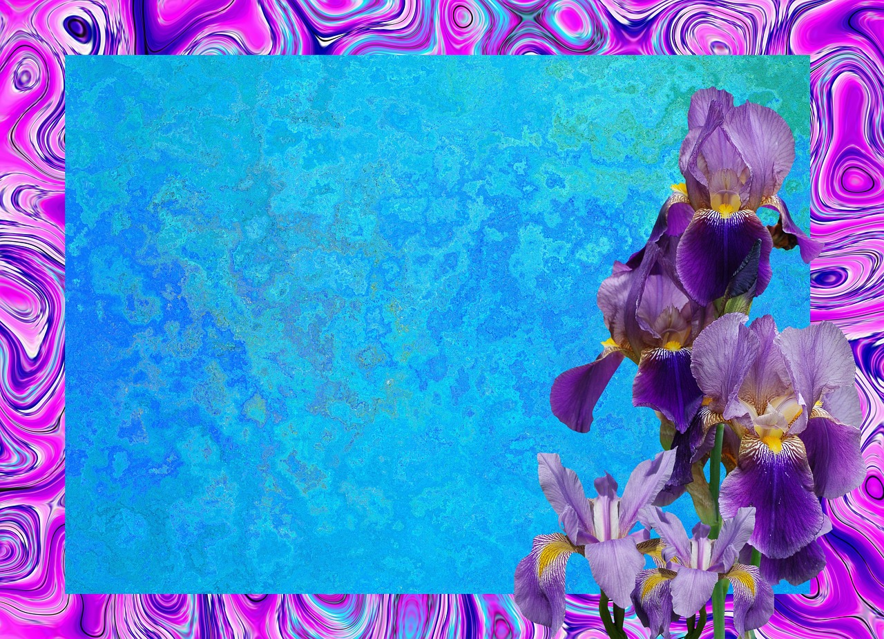 iris blossom bloom free photo