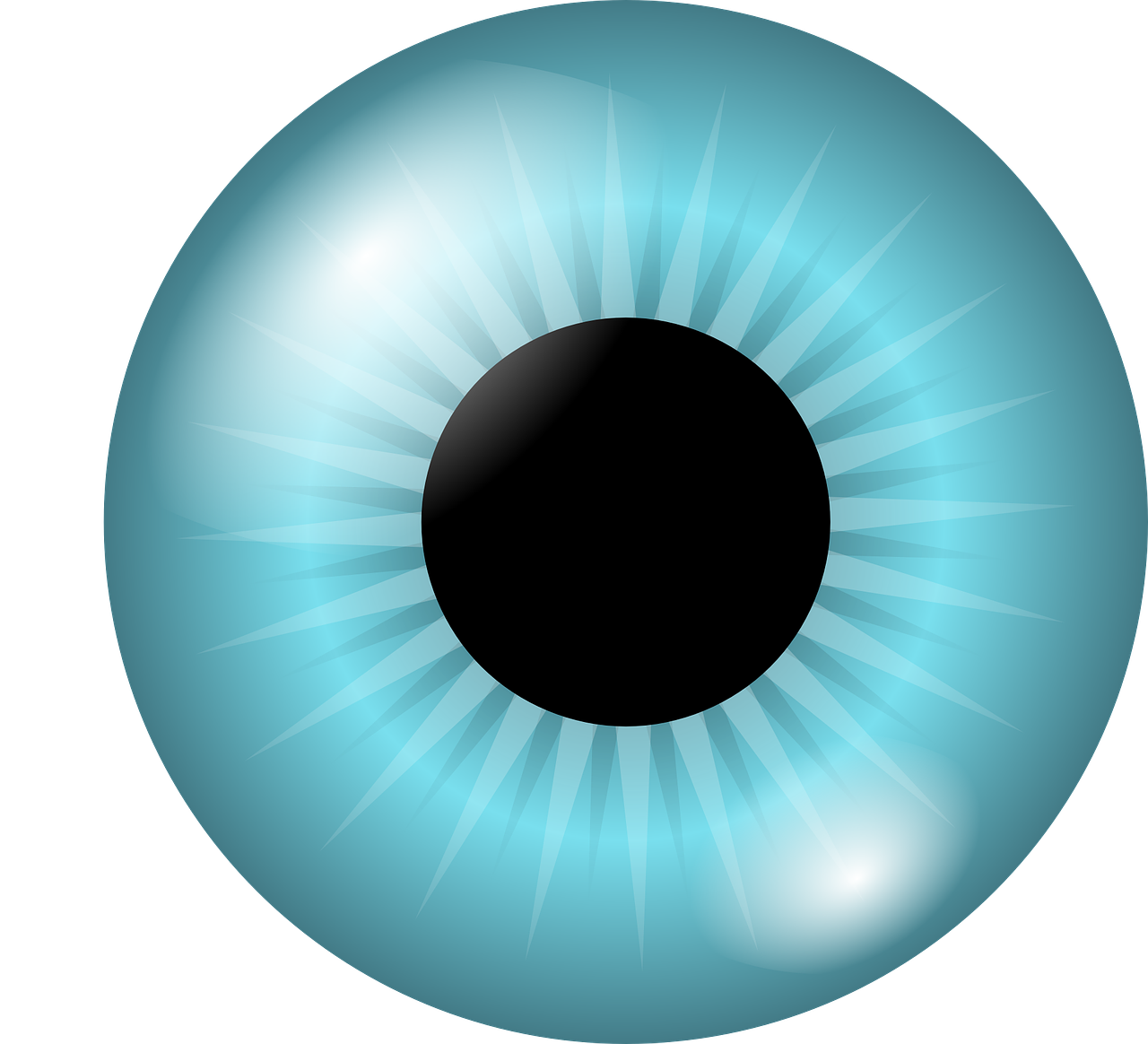 iris eye eyeball free photo