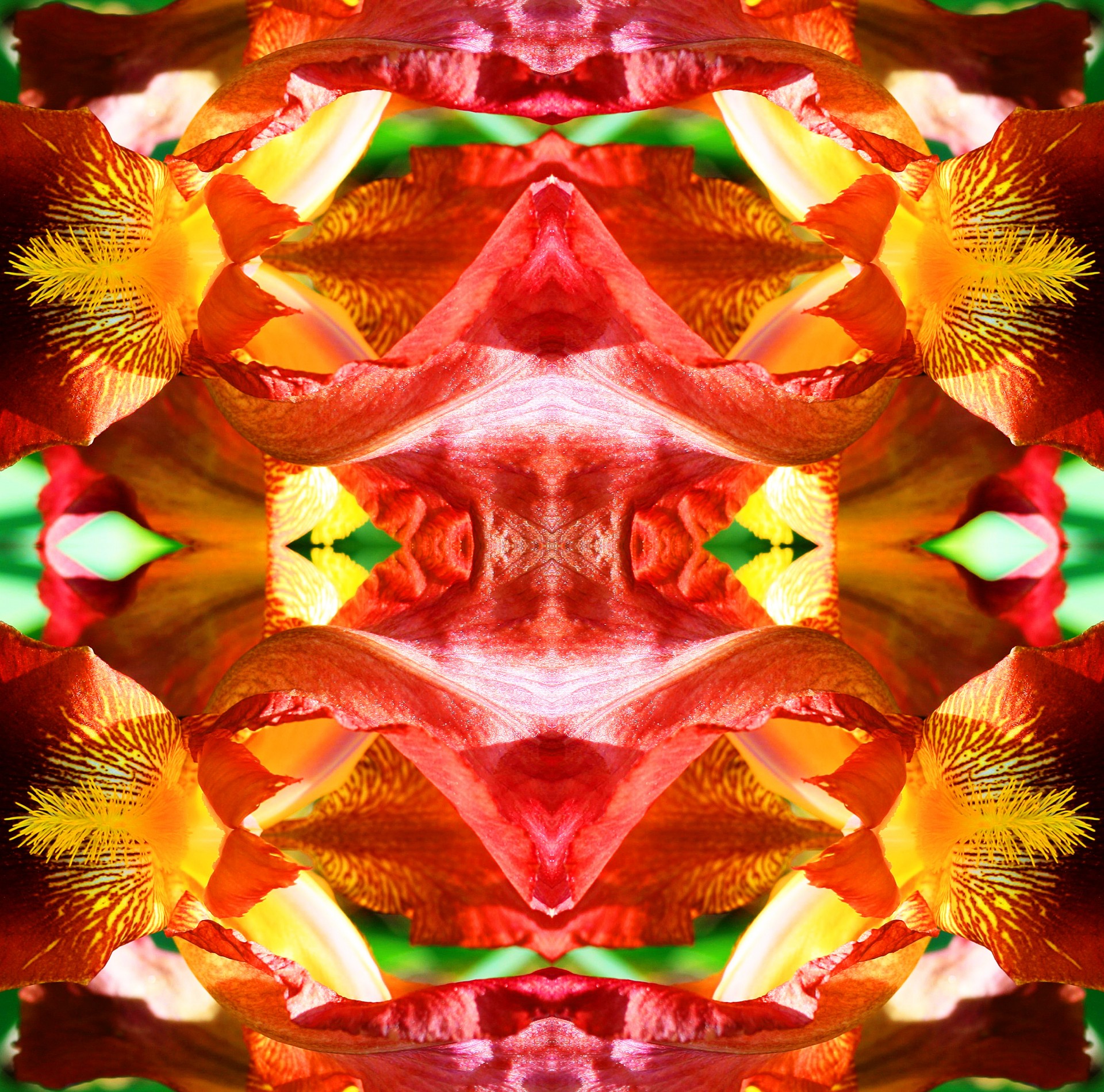 flower bright kaleidoscope free photo