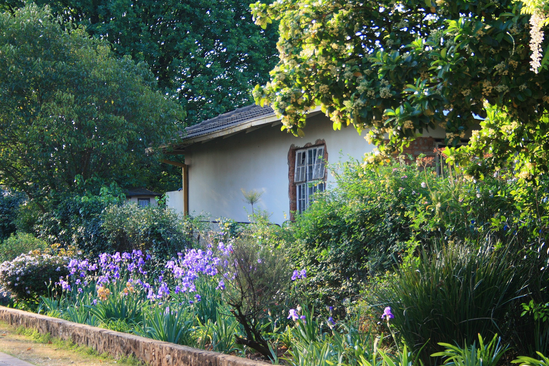 home garden wall free photo