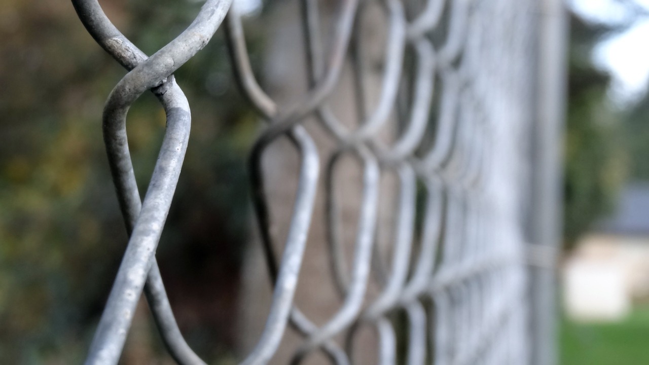 iron  steel  fence free photo