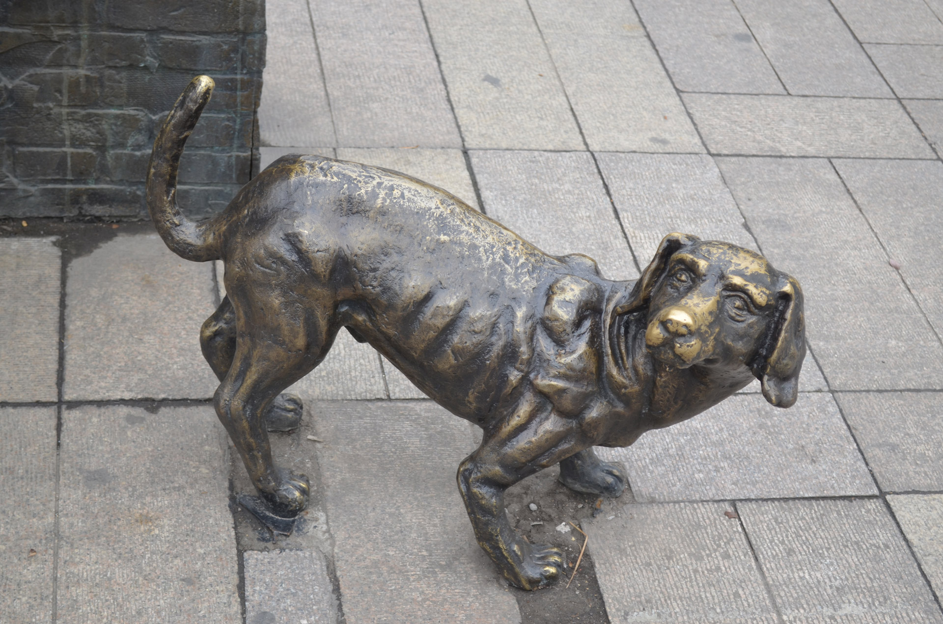 dog pet statue free photo