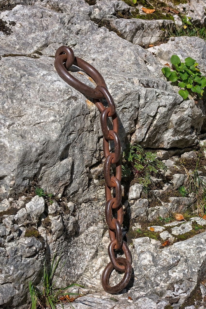 iron ring  chain  connection free photo