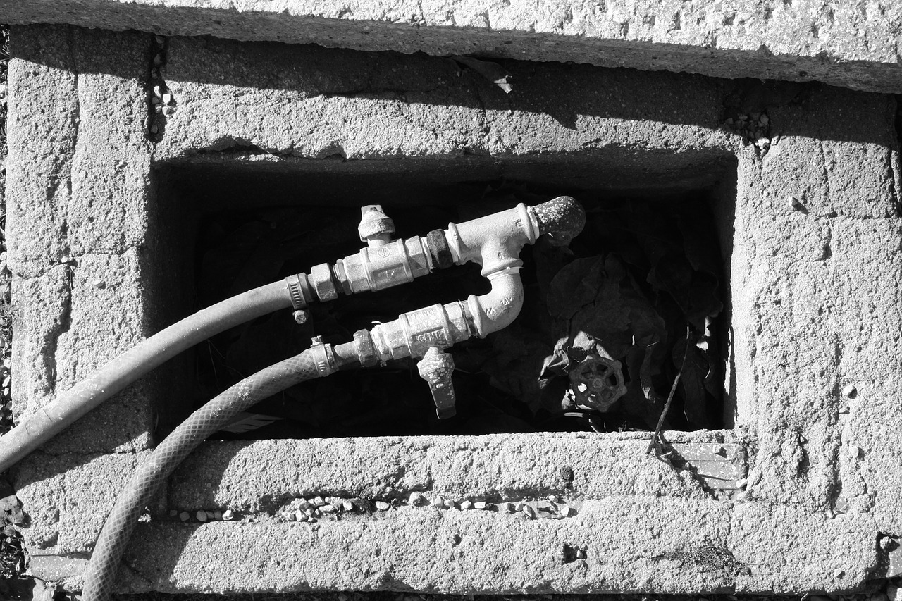 irrigation water key free photo