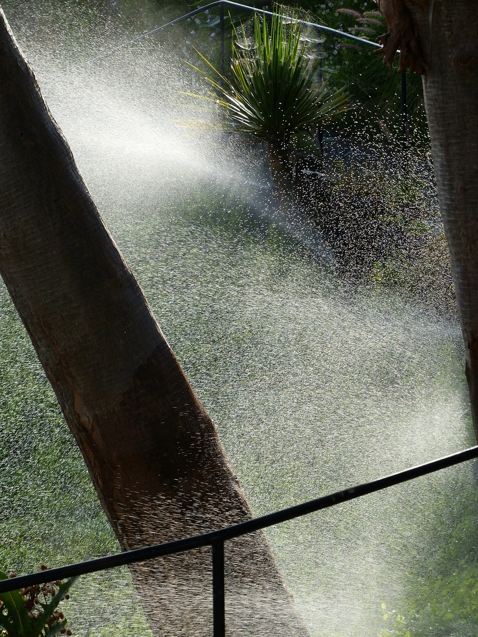 irrigation sprinkler sprinkler system free photo