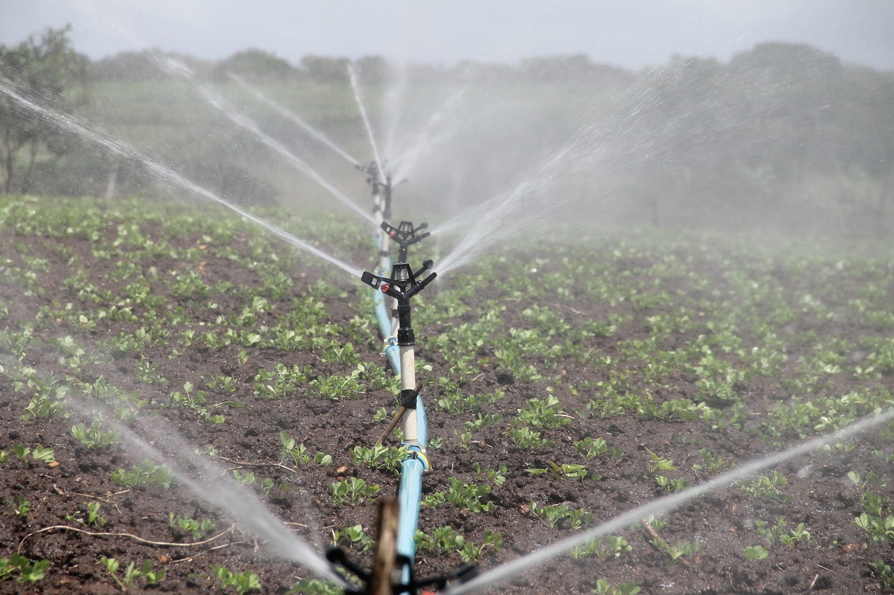 irrigation agriculture sprinkling free photo