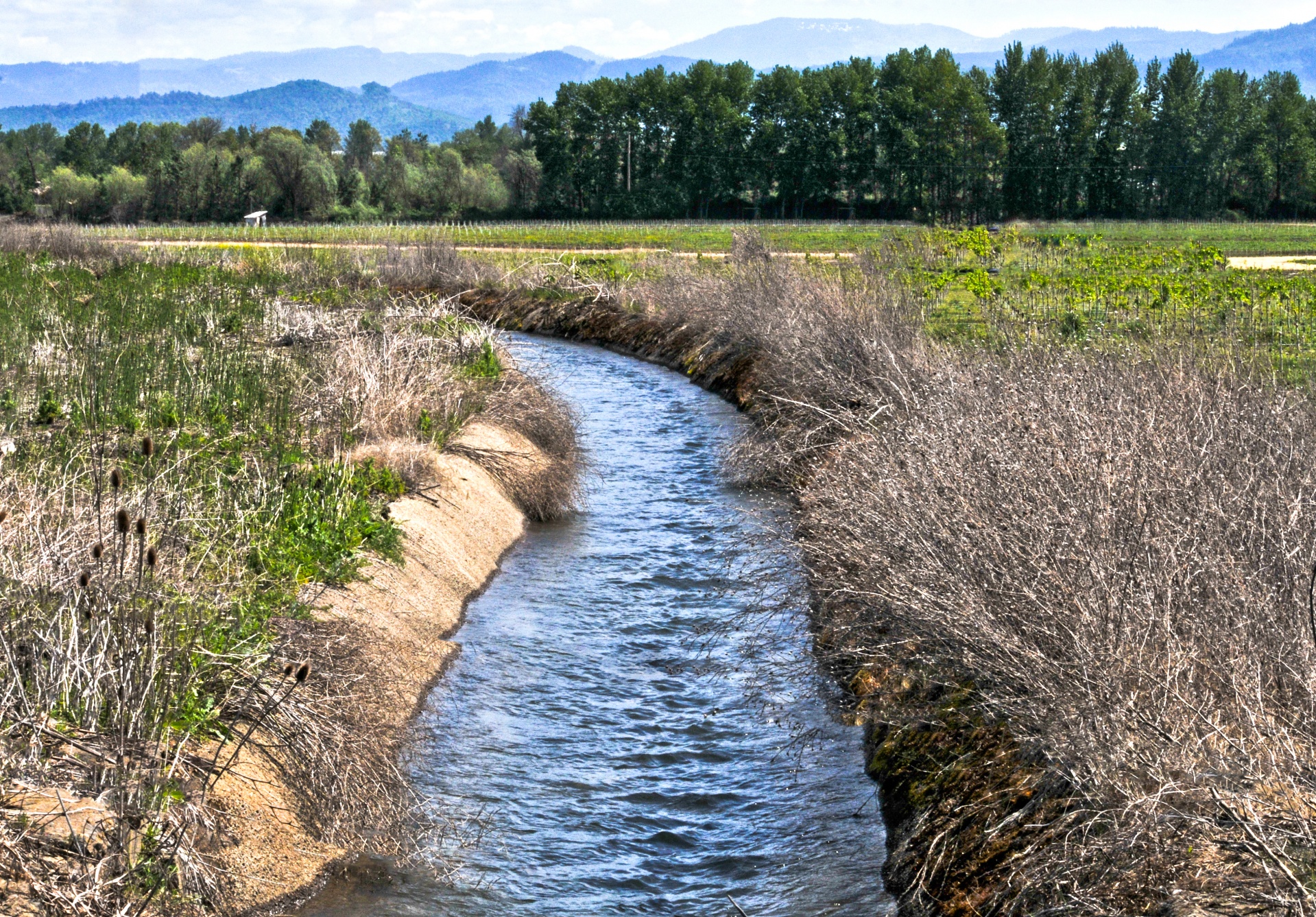 water irrigation stream free photo
