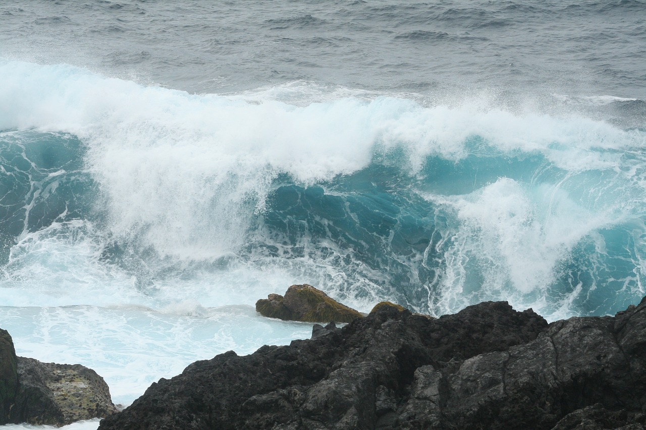 is  sea  canary islands free photo