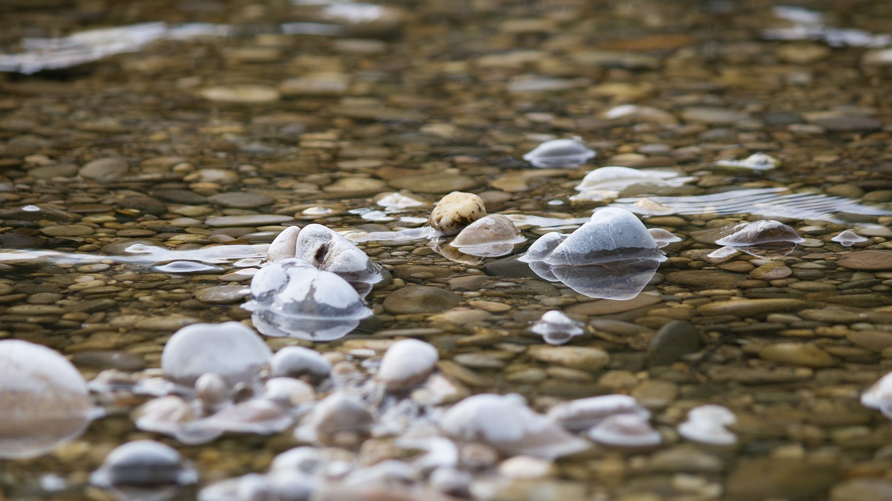 isar river bavaria free photo