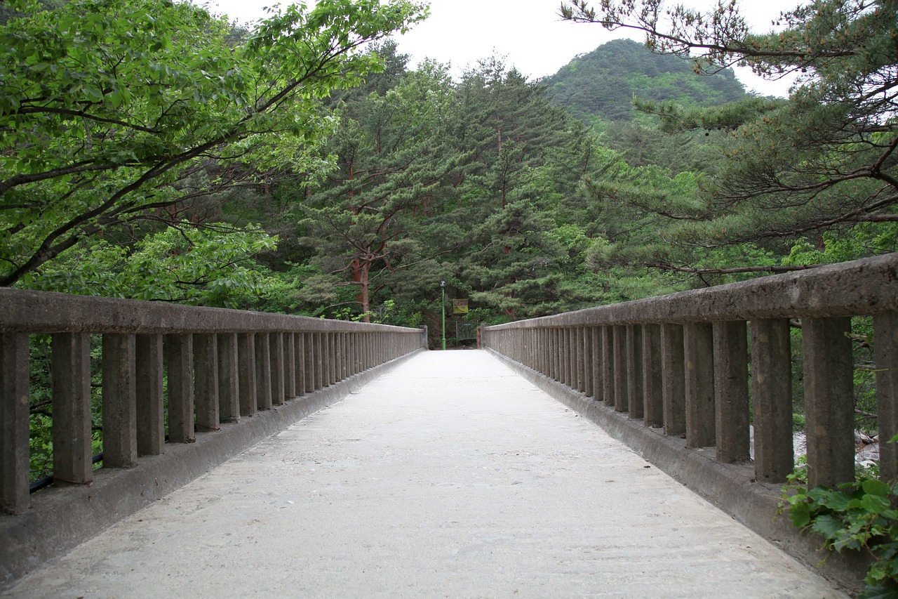 ishibashi bridge horizontal free photo