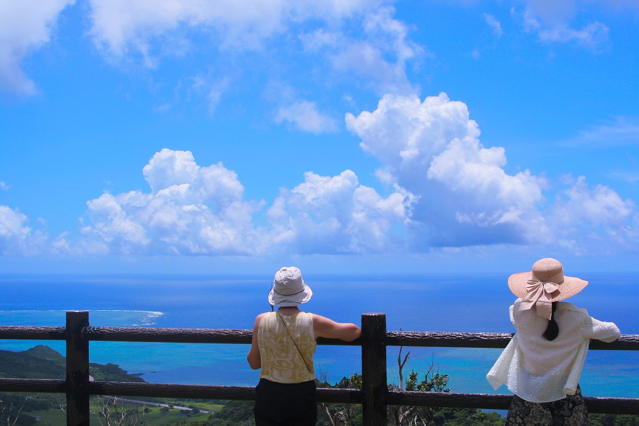 ishigaki island coral reefs leaf free photo