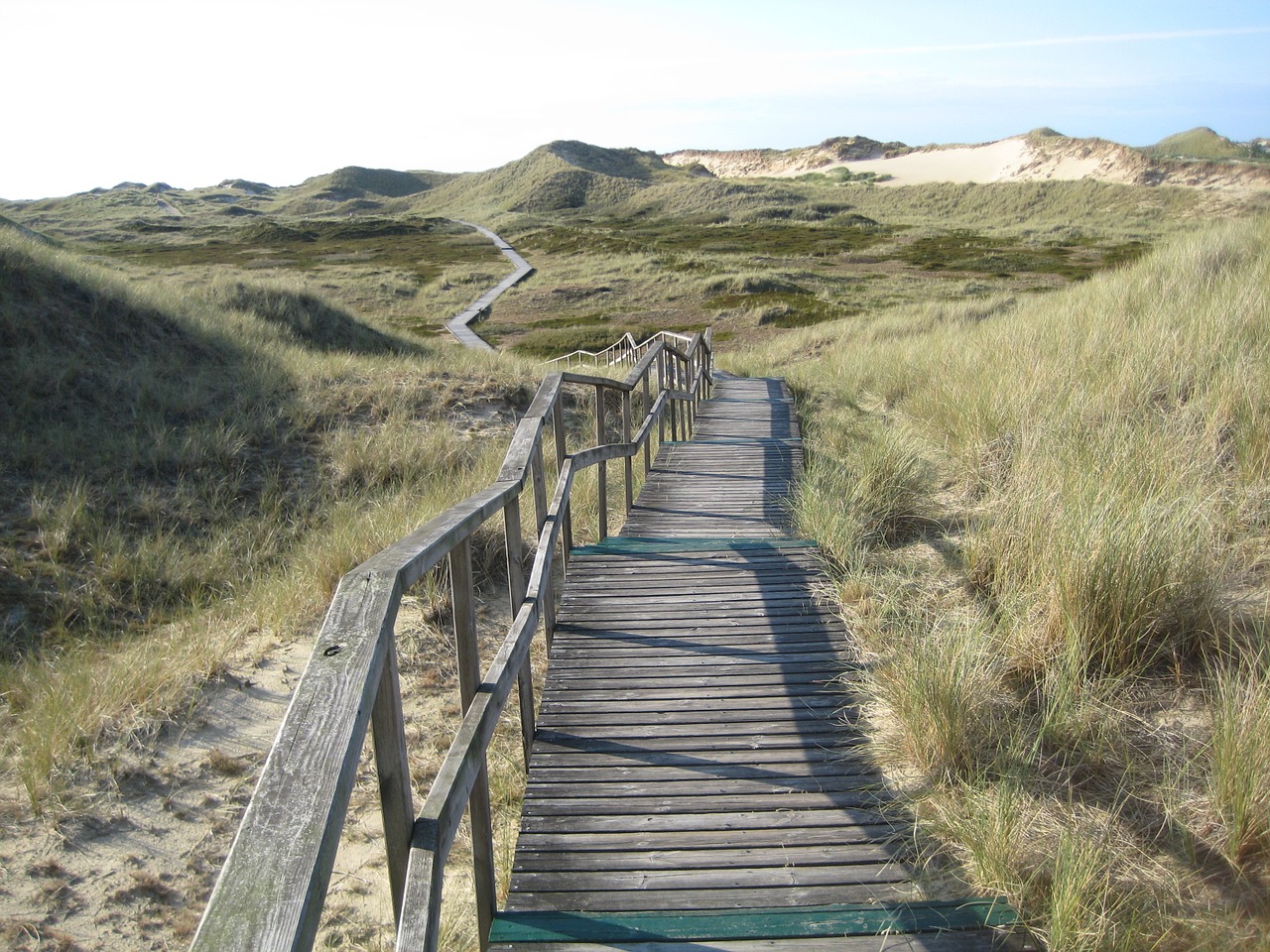 island amrum north sea free photo