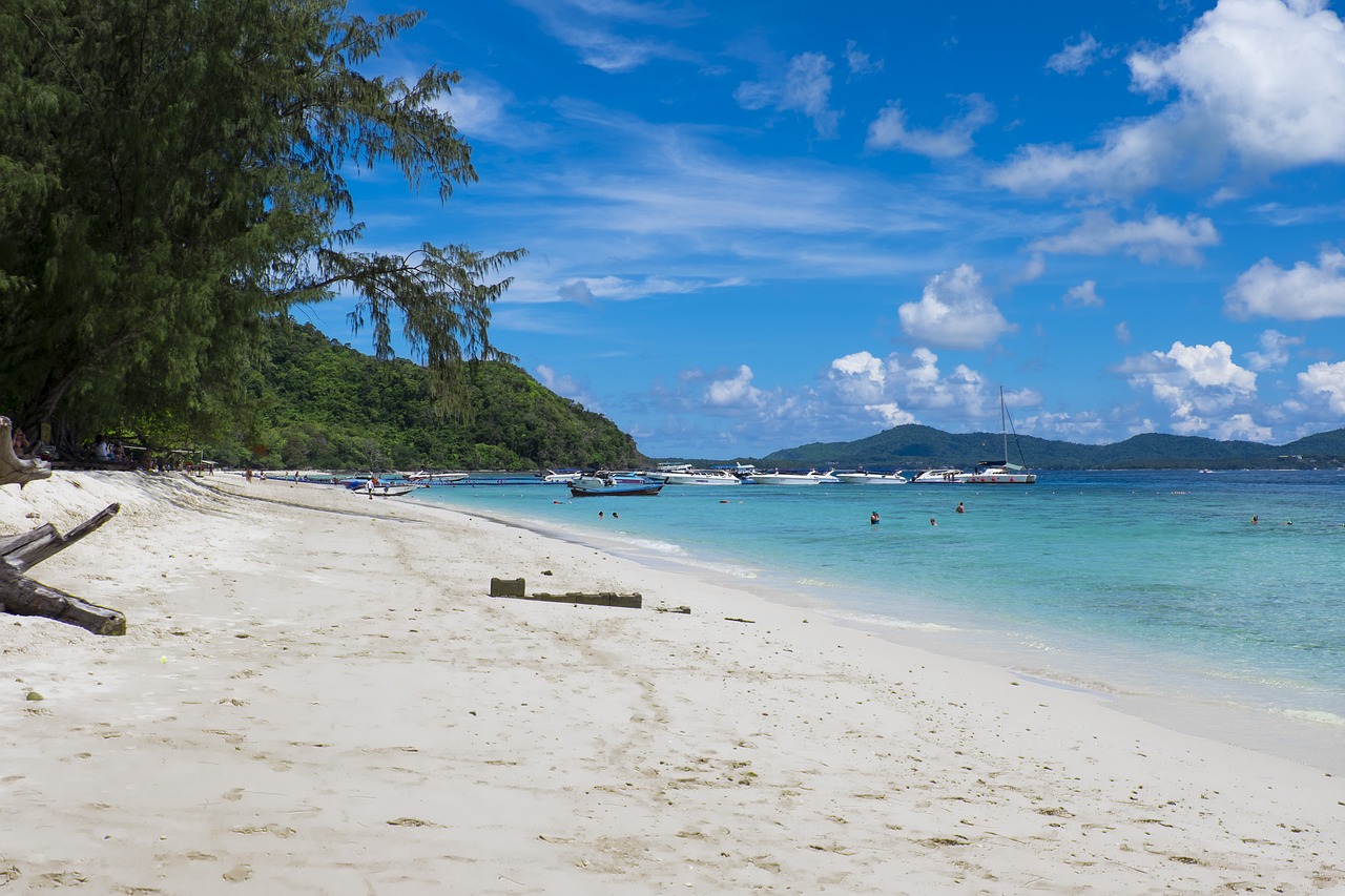 island beach sand free photo