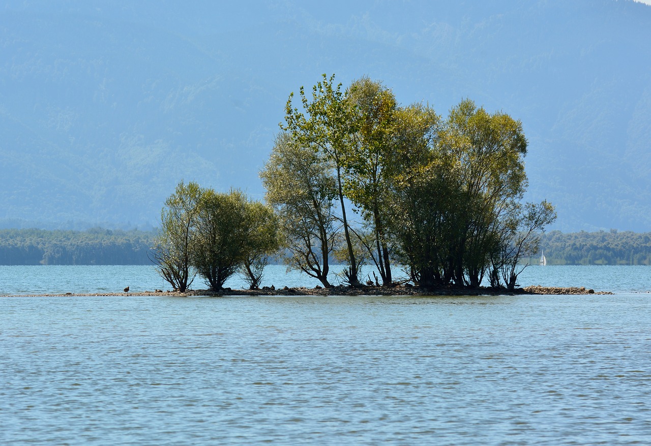 island bushes grove of trees free photo