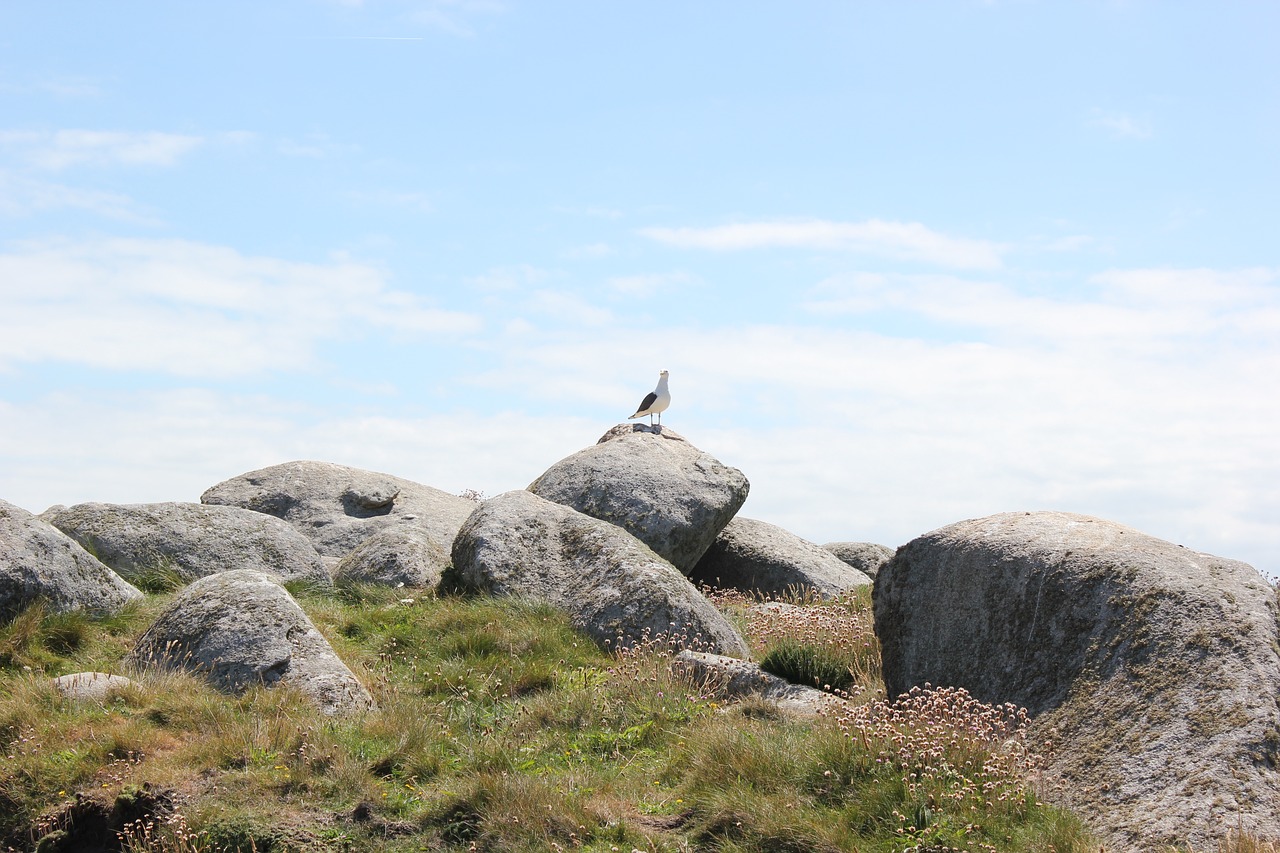 island brittany rocks free photo