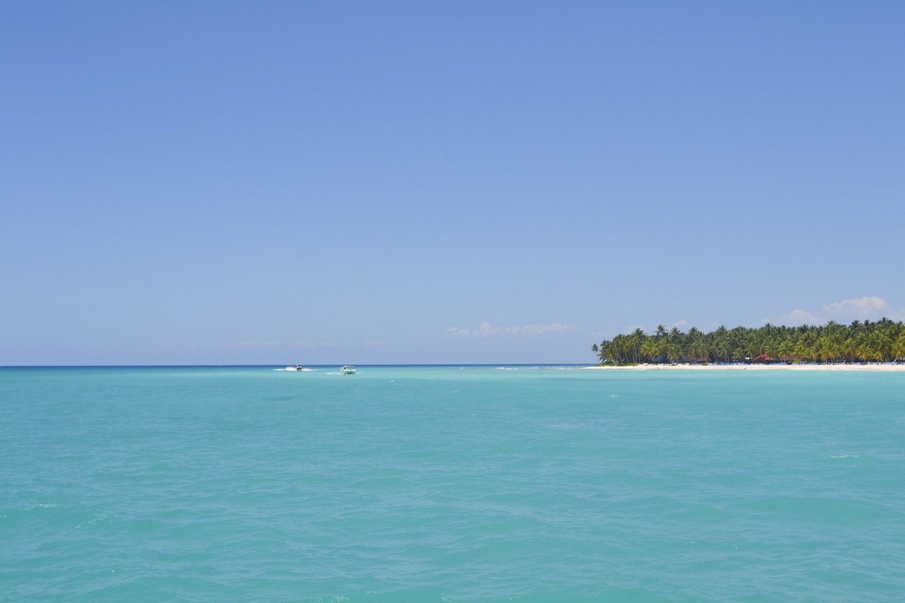 island saona saona island free photo