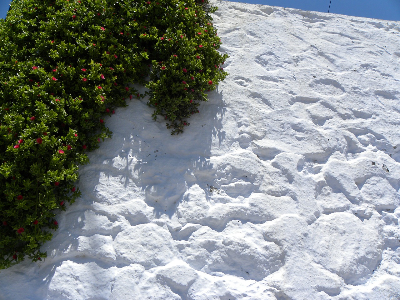 island santorini greece free photo