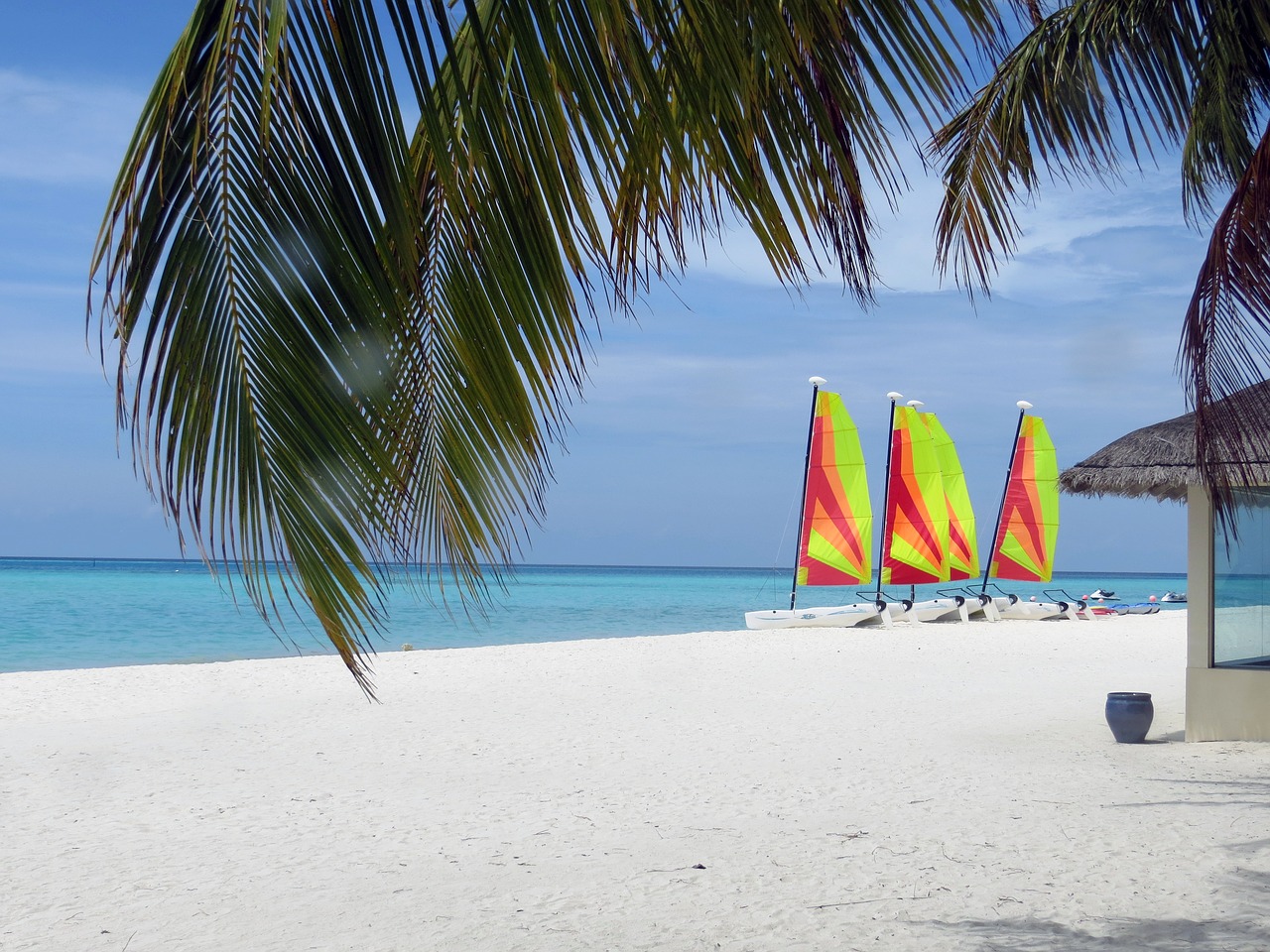 island summer beach free photo