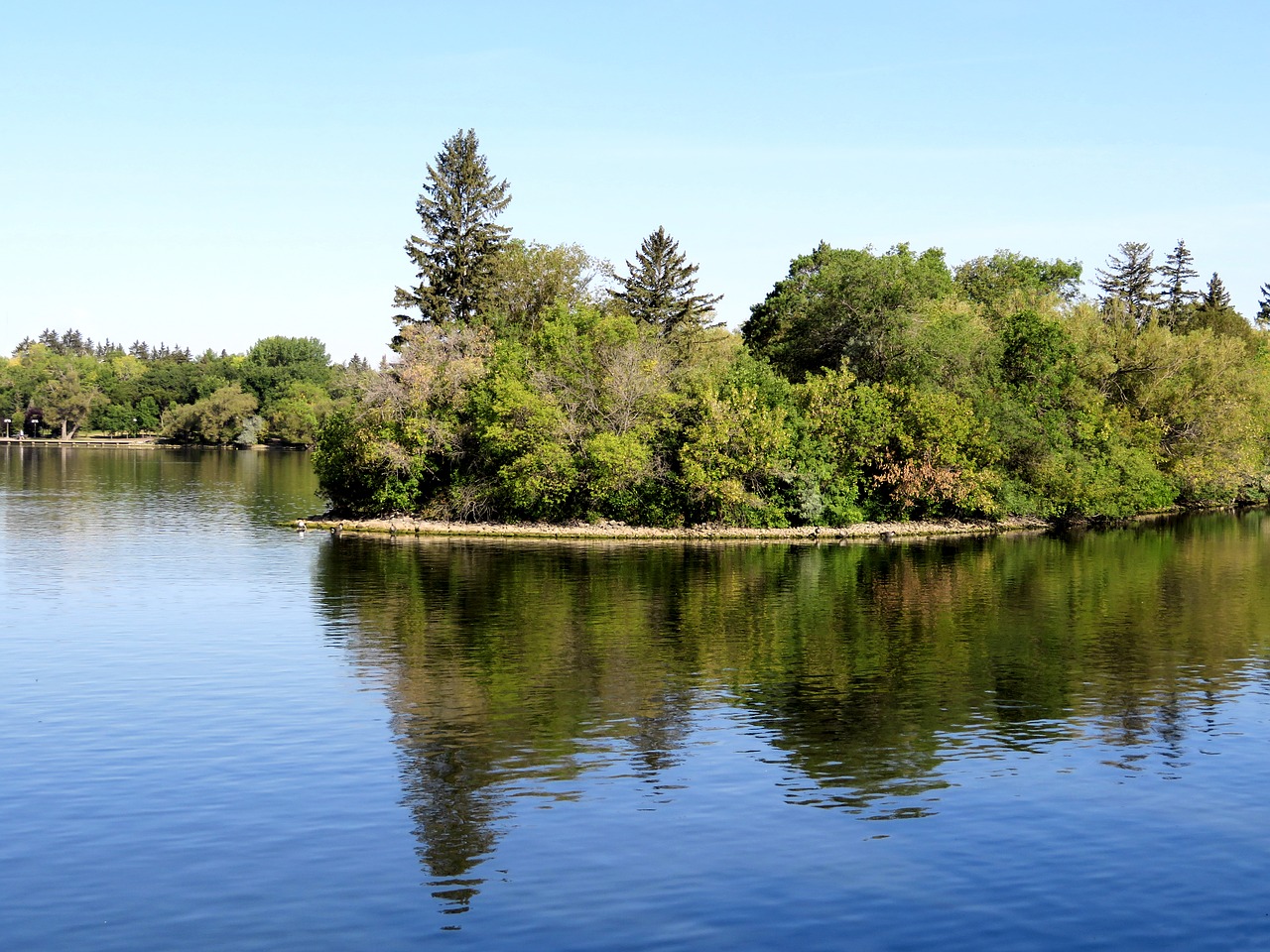 island trees reflection free photo