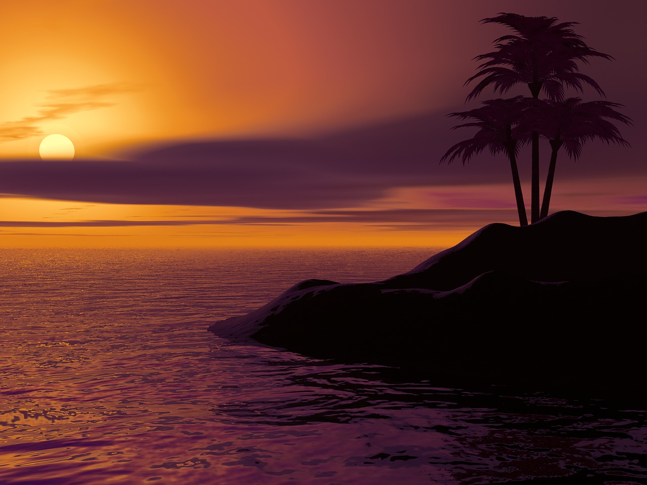 island palm sunset free photo