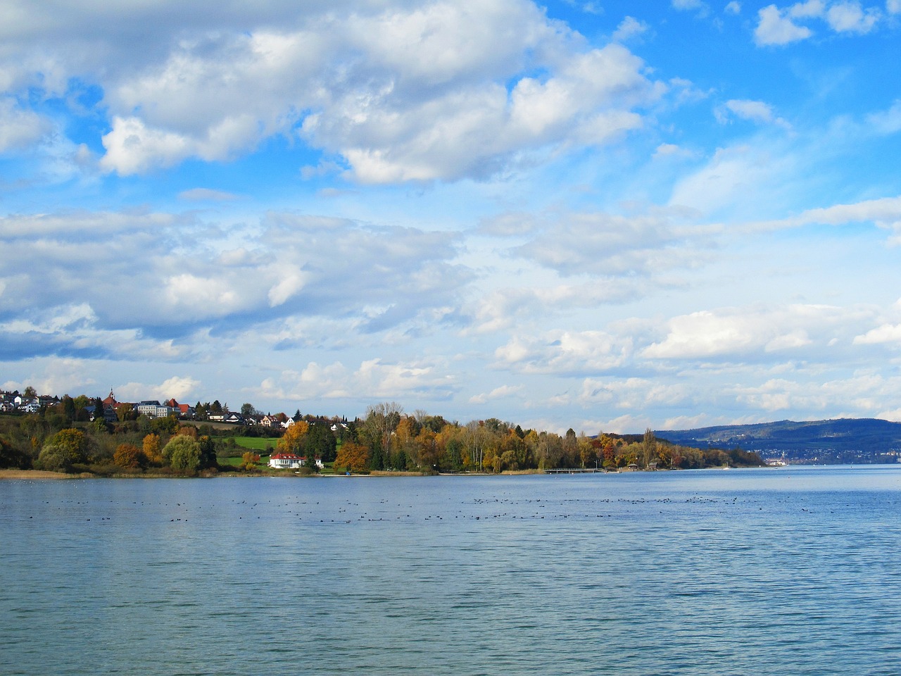 island mainau island lake constance free photo