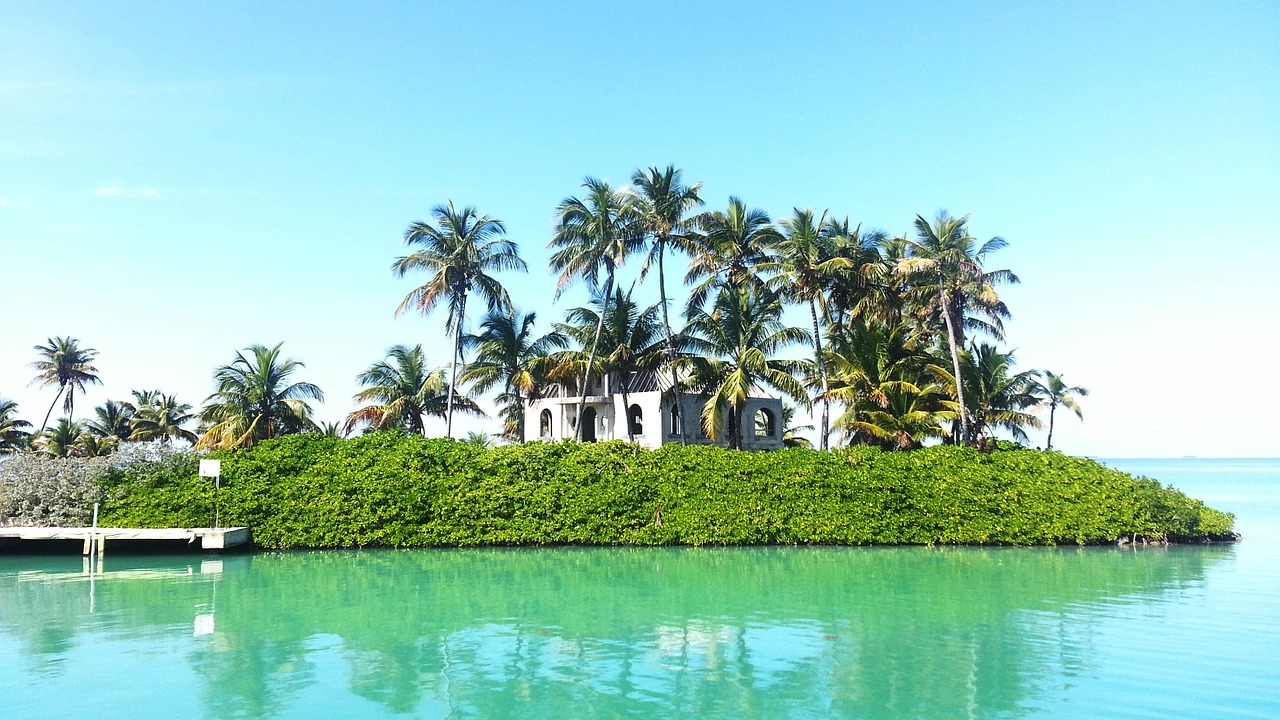island tropical palm free photo