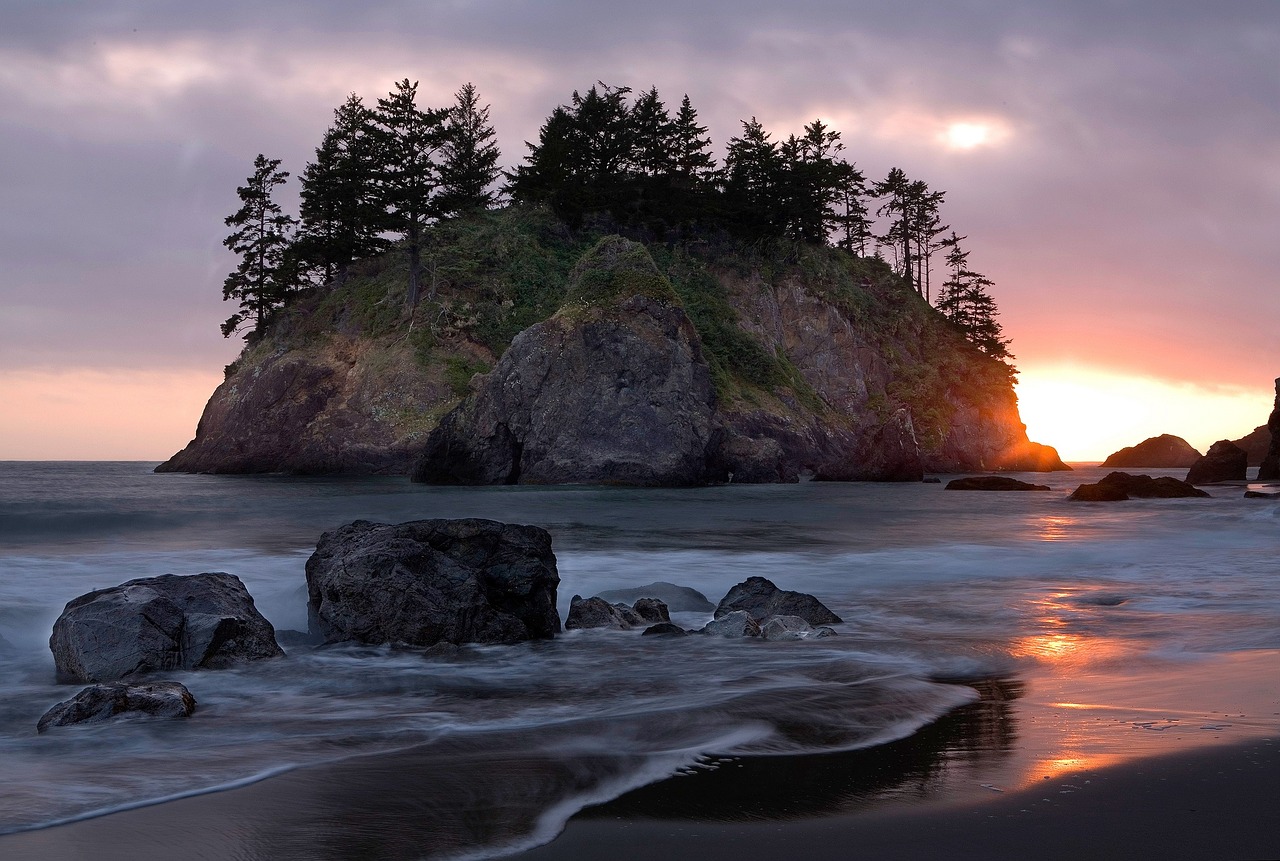 island seascape trees free photo