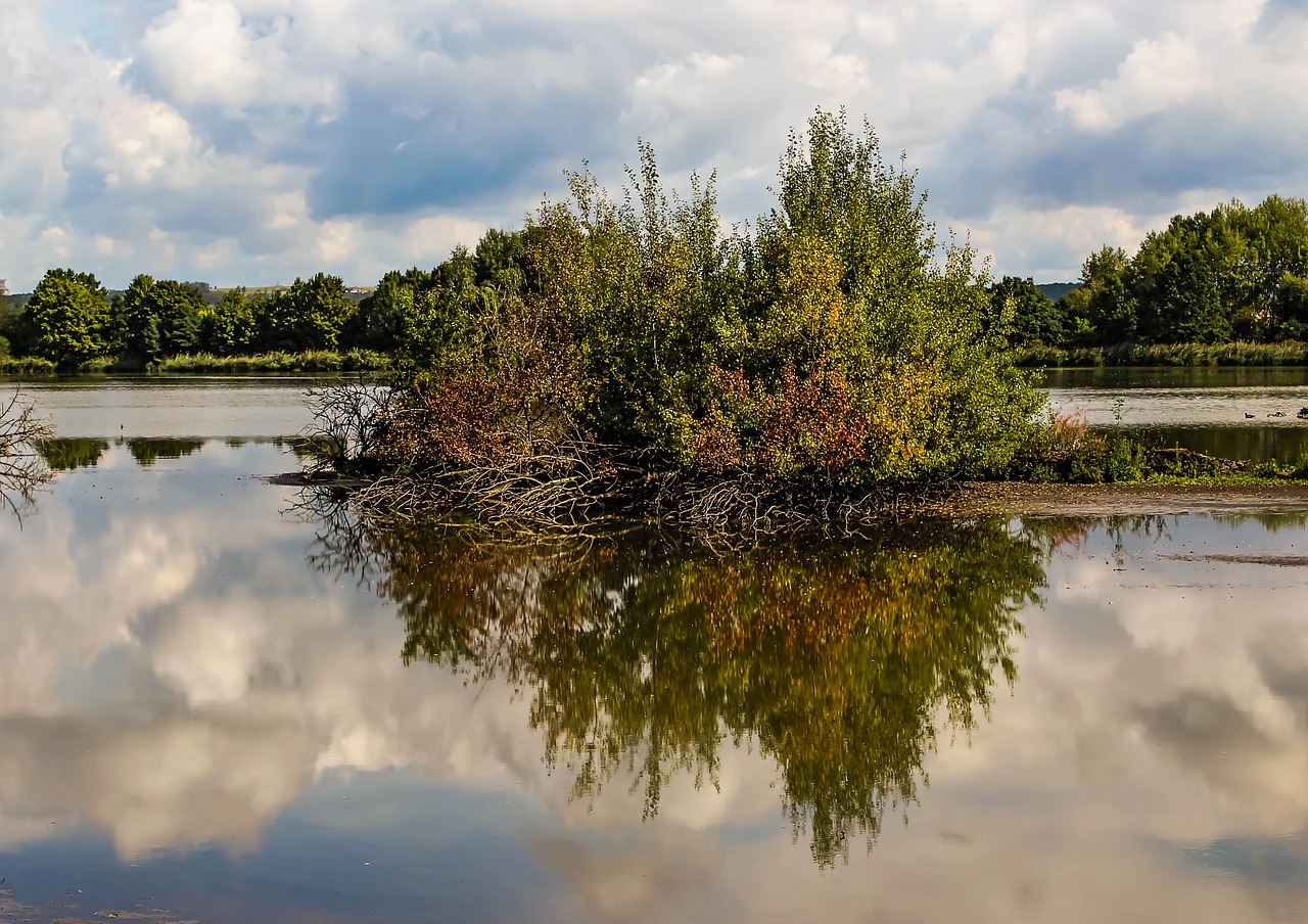 island pond water free photo