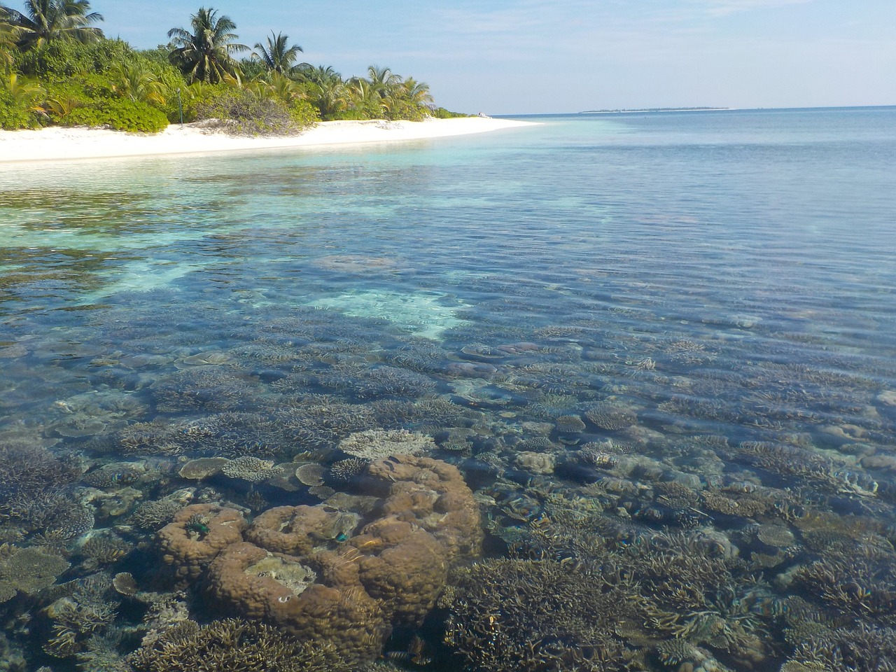 island water beach free photo