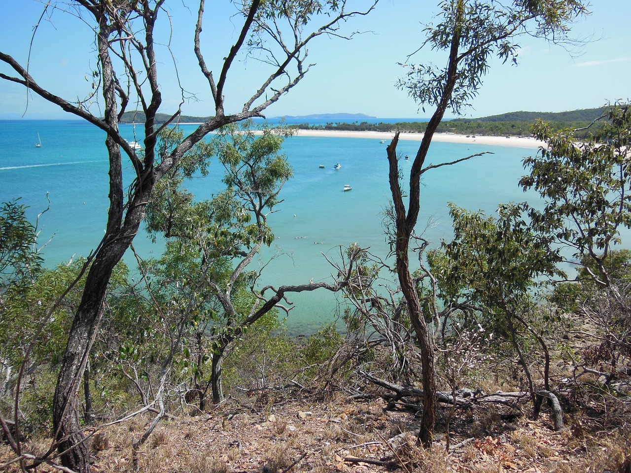 island cove coastline free photo