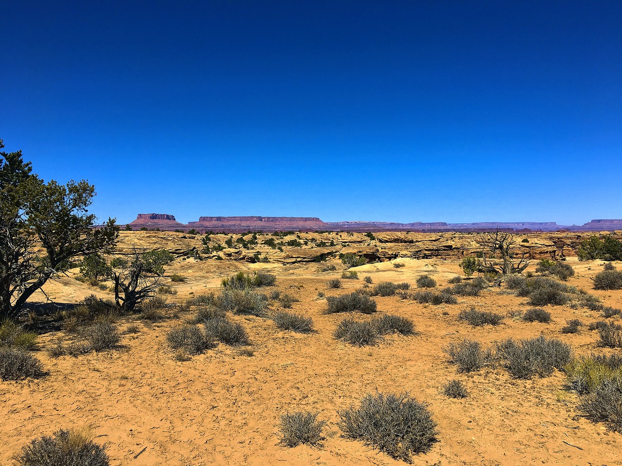 island in the sky  junction butte  needles district free photo
