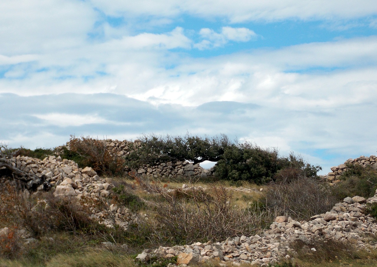 island of rab croatia landscape free photo