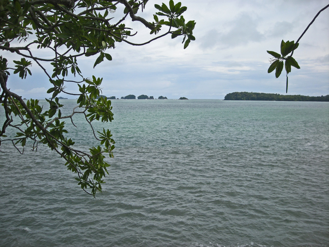 island panama pacific free photo