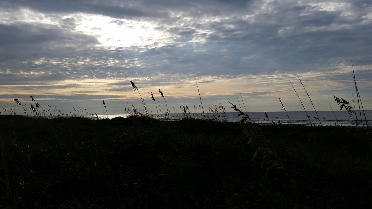 isle of palms charleston south carolina free photo