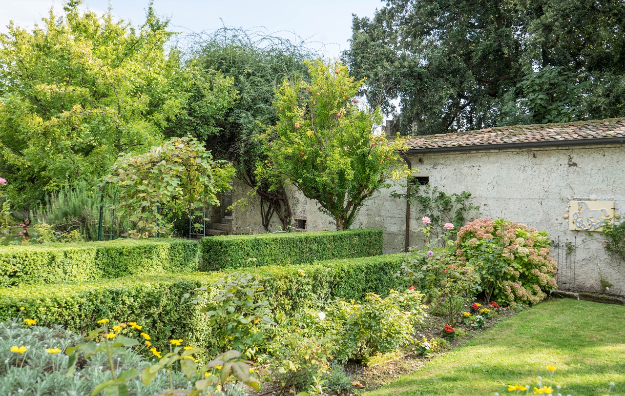 isola del garda nature lake garda free photo