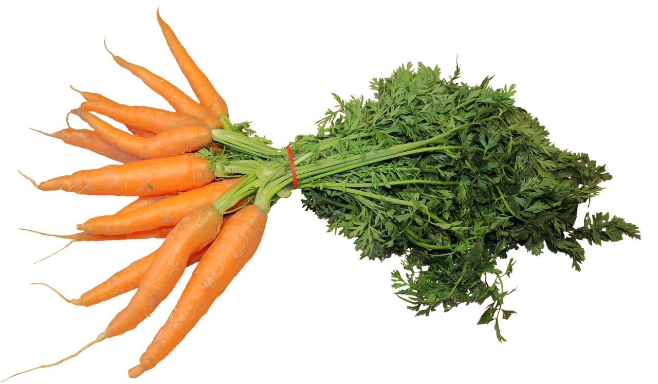 isolated federal carrots vegetables free photo