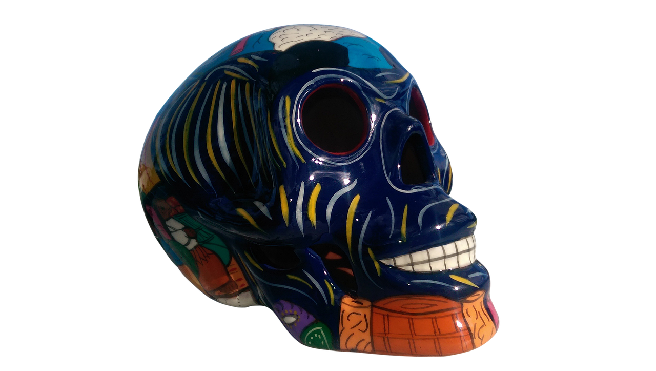 isolated skull colorful free photo