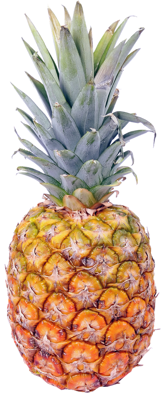 isolated pineapple fruit free photo