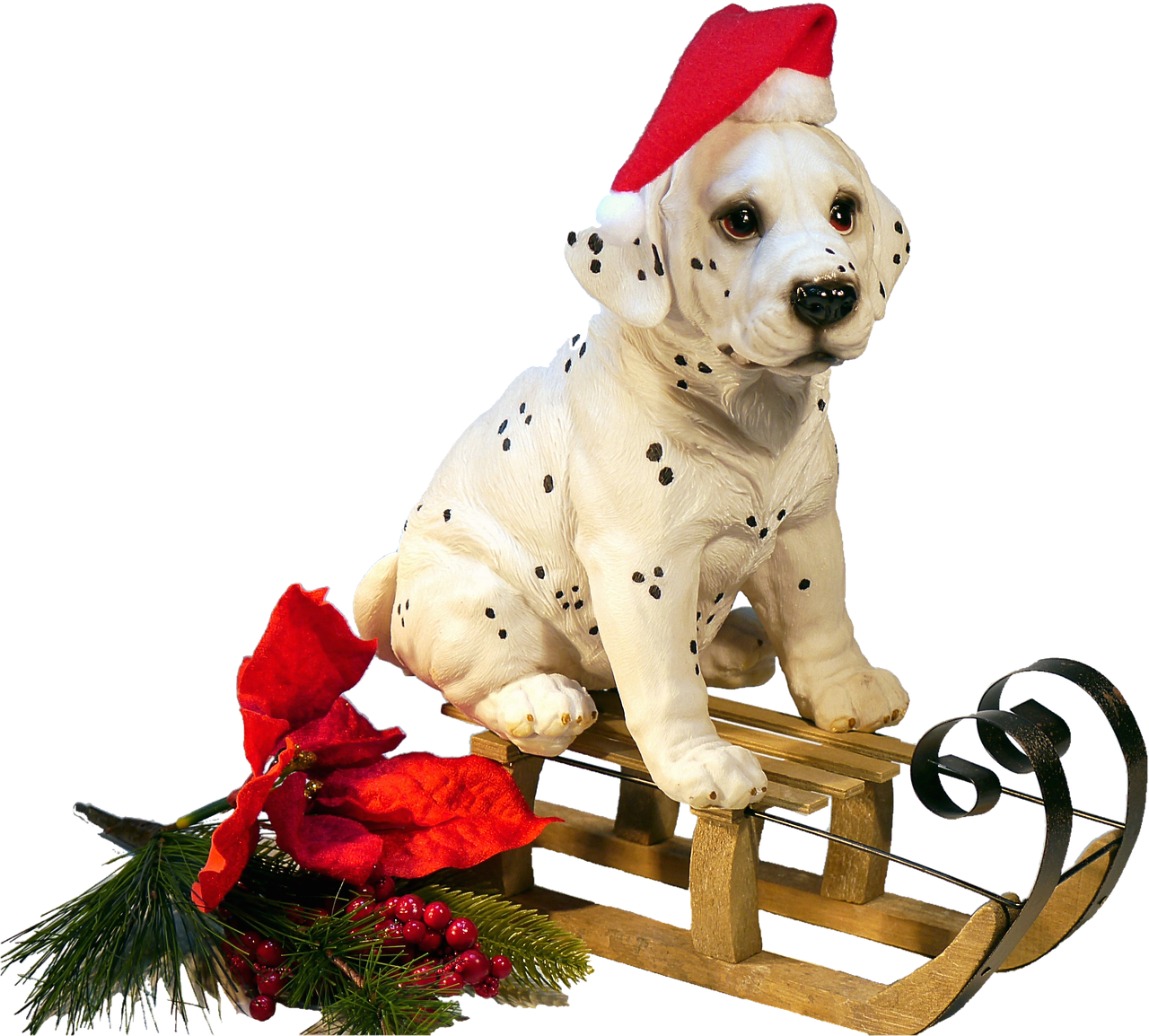 isolated dog on sledge christmas free photo