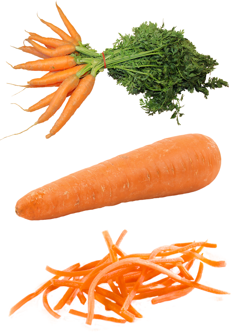 isolated carrot food free photo