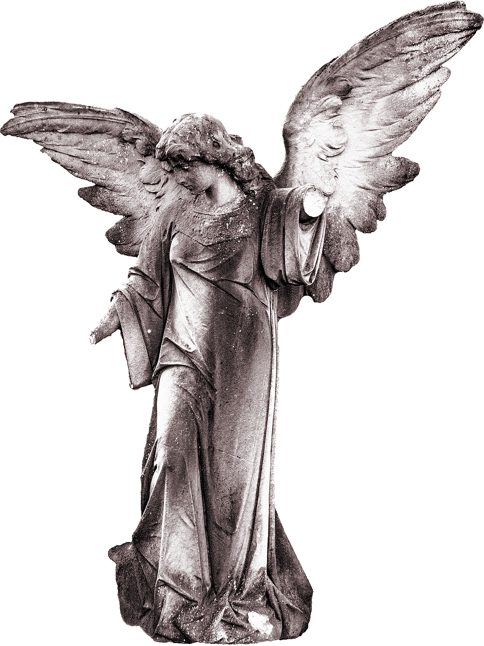 isolated angel deco free photo