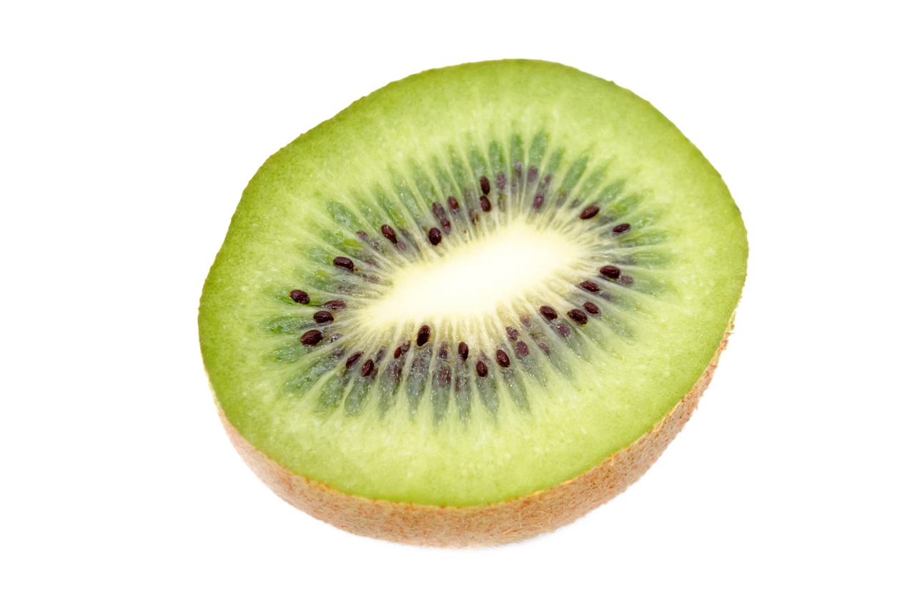 isolated kiwi fruit free photo