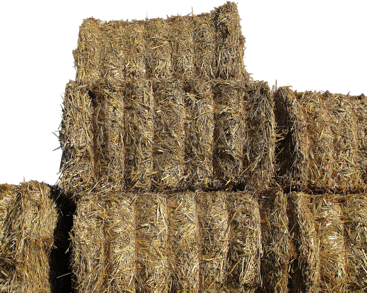 isolated straw bales dried grass free photo