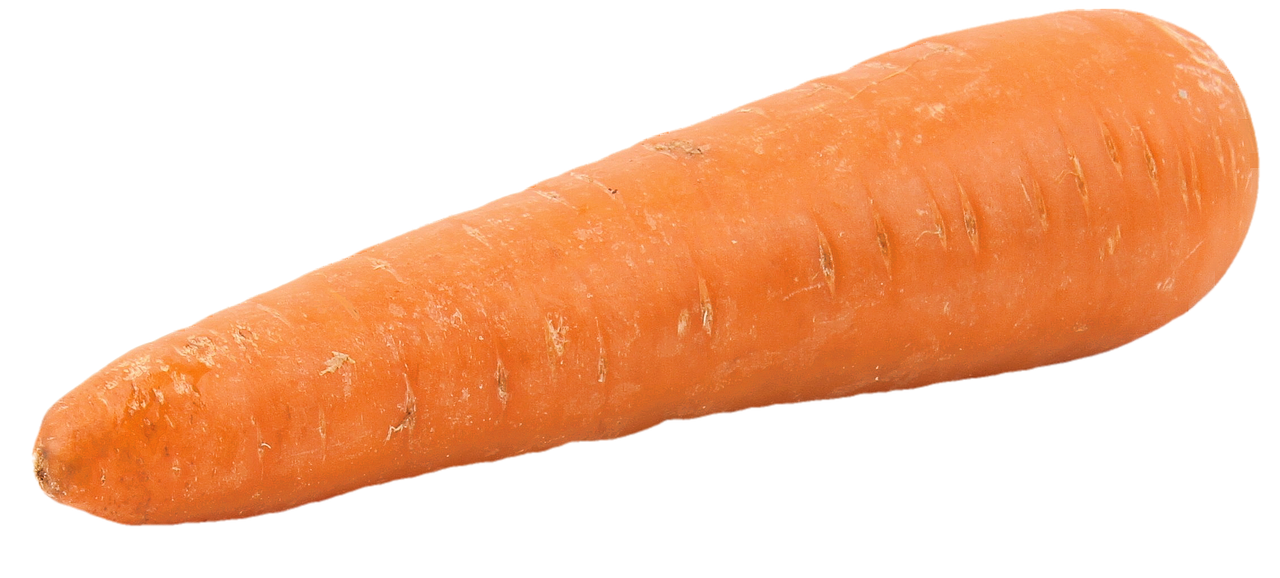 isolated carrot orange free photo
