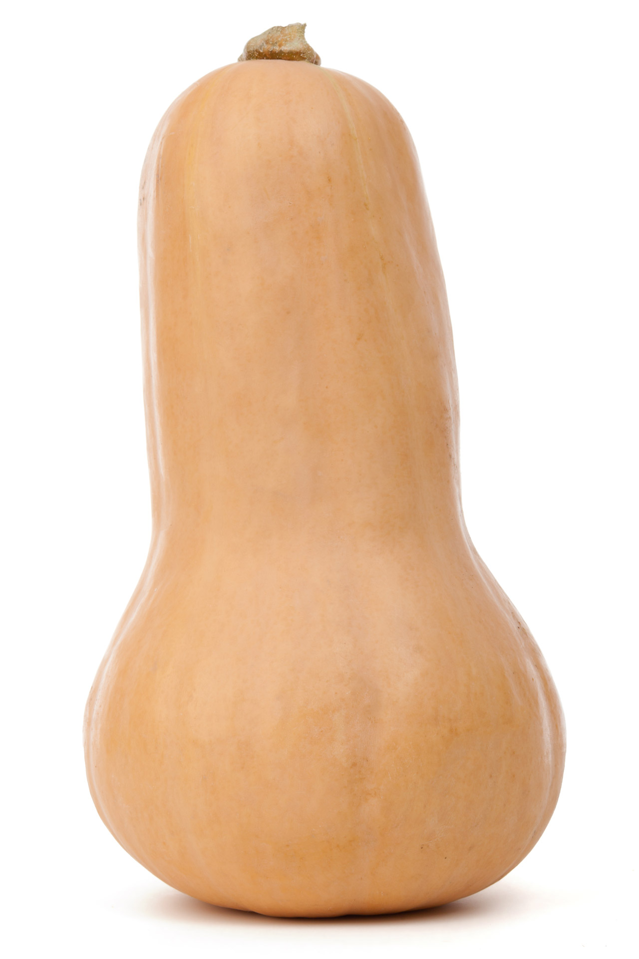 autumn butternut squash diet free photo