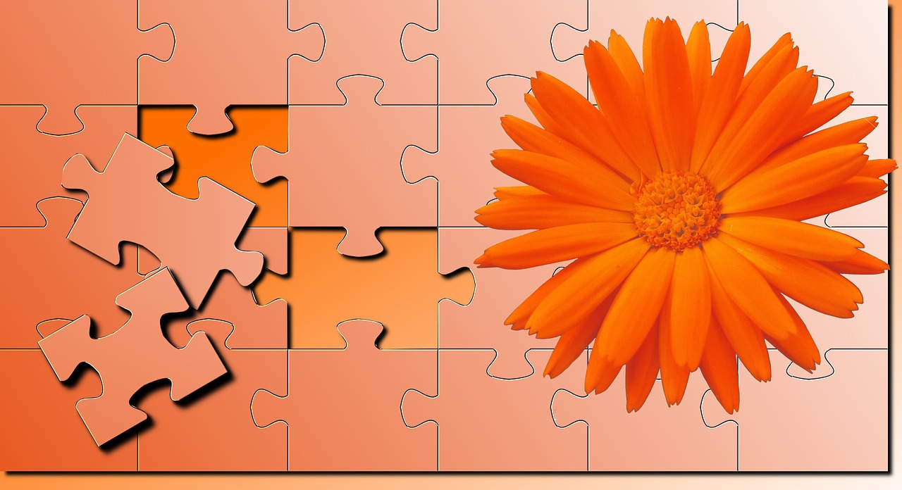 isolated form puzzle flower free photo