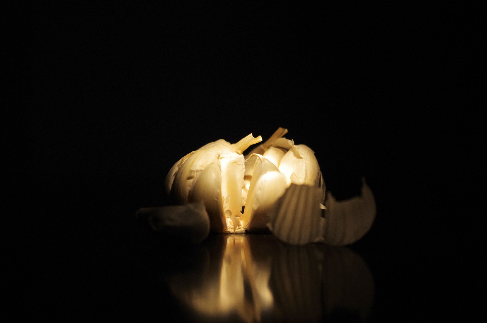isolated garlic bulb free photo