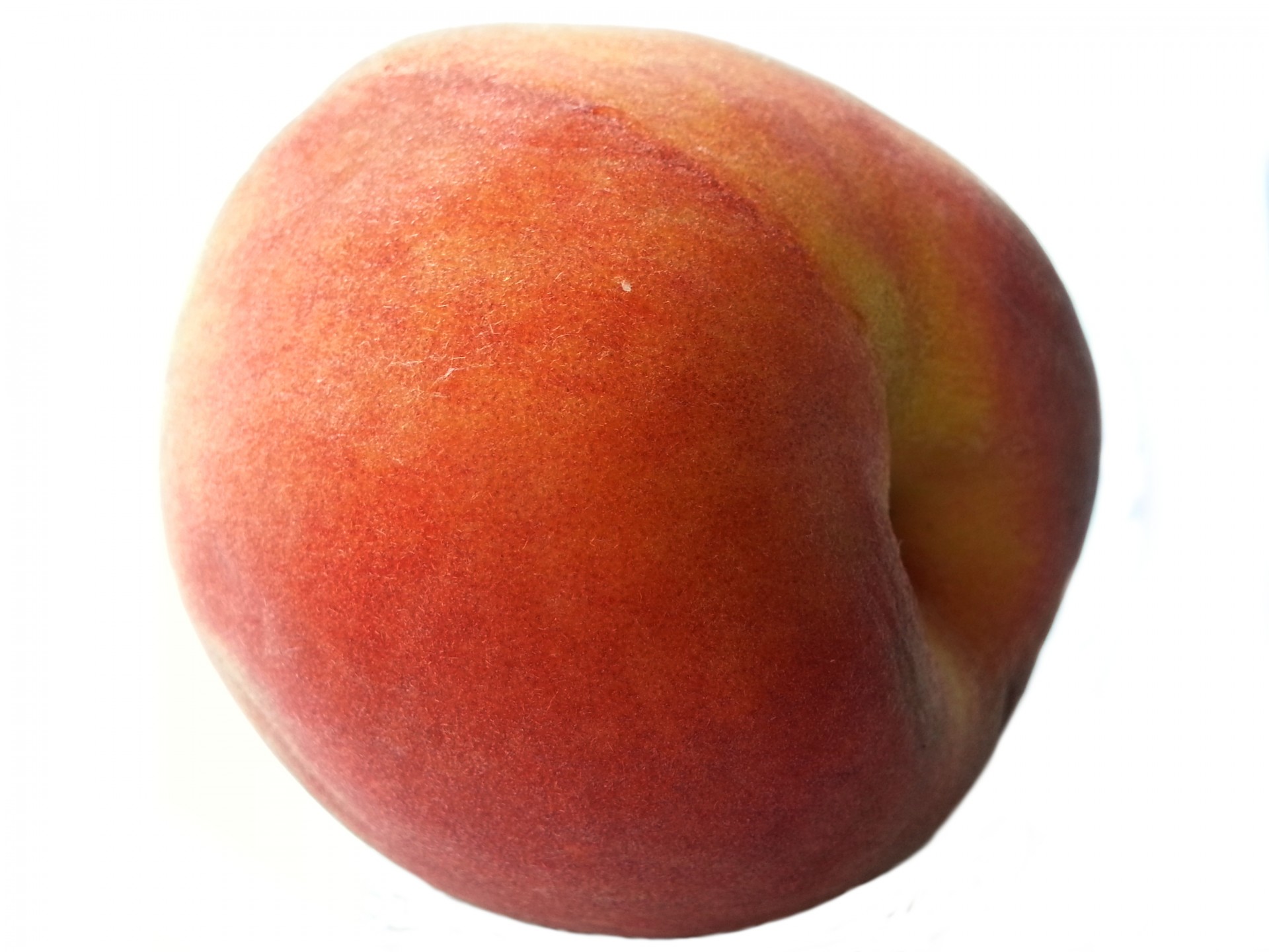 peach isolated fruit free photo