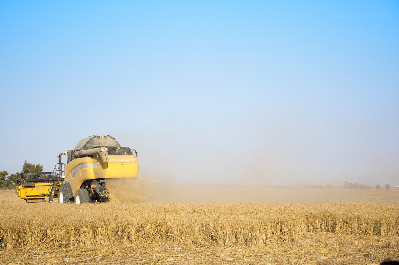 israel  wheat field  tractor free photo